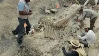 Archaeology dig reveals preserved dinosaur