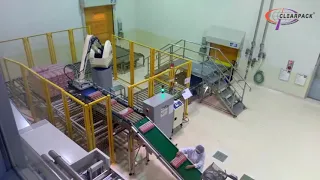 Robotic Palletizer| Clearpack