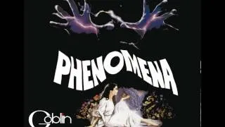 Phenomena-Jennifer