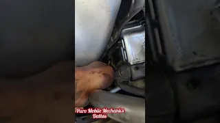 Honda Prelude alternator belt replacement