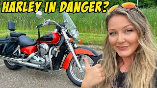 Harley-Davidson's BIGGEST Mistake. Can this Beginner Bike hurt H-D?