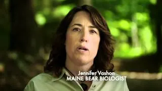 Maine's Bear Biologists and Wardens Oppose Question 1