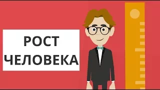 ОТ ЧЕГО ЗАВИСИТ РОСТ ЧЕЛОВЕКА?