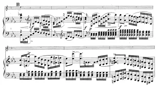 Carl von Weber - Grand duo concertant, Op.48