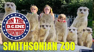 On the D.C.'ene Adventures (Washington D.C.) Day 3 - The Smithsonian Zoo