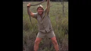 Стив Ирвин (Steve Irwin)