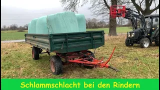 FarmVLOG #122 Schlammschlacht bei den Rindern