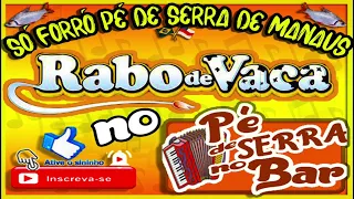 BANDA RABO DE VACA #forró #forródasantigas #forrópédeserra