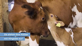Cowpassion - Milchkühe sind liebevolle Mütter