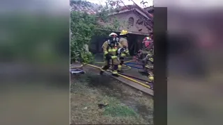 VIDEO: Firefighters rescue dog from Tempe house fire