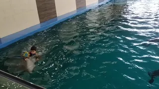 Миша плавает на дельфине