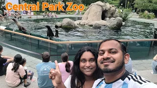 A Tour Of Central Park Zoo In NY