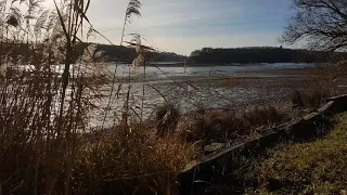 Diefenbacher Weiher Puttelange aux Lacs