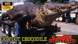 Villagers Hunt For 30 FOOT Crocodile | lake placid ( 1999 ) Sci-Fi