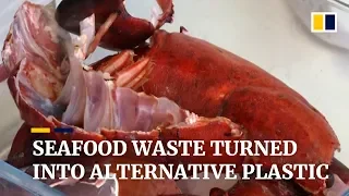 Seafood waste turned into alternative plastic