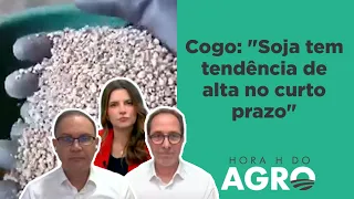 Soja e fertilizantes: tudo que você precisa saber! | HORA H DO AGRO