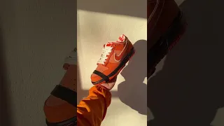 Nike SB Dunk Low Concepts Orange Lobster