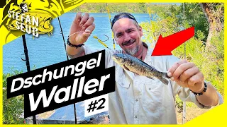 Dschungel Waller #2 | NEUE FANG MONTAGE !!! | Welsangeln im Kraut