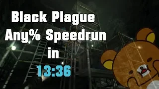 (PBP) Any% Speedrun in 13:36