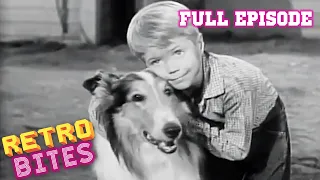 Owl Eggs | Full Episode | Lassie | Old TV Shows | Retro Bites