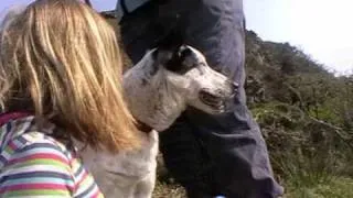 The Day we went up Moel Dduallt