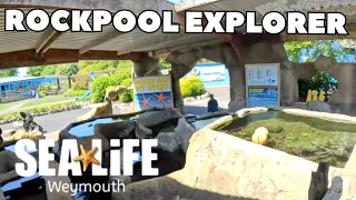 SEA LIFE Weymouth: Dive into Rockpool Exploration