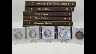 I spent $400 at my local coin shop part 2 #silver #silverdollar #morgansilverdollar #dansco