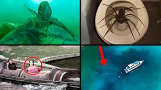 Scary & Bizarre Recent Discoveries | ORIGINS EXPLAINED COMPILATION 10