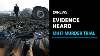 Trial into the downing of flight MH-17 hears evidence against men charged with murder | ABC News