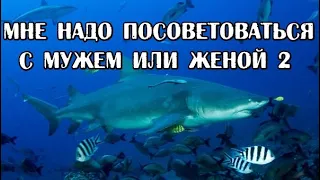 Мне надо посоветоваться с мужем или женой 2.Клиент не готов принимать решение,надо подумать.