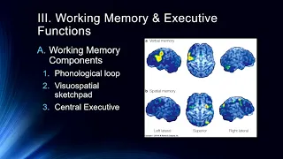 Shorter Term Memory Systems
