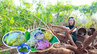 Harvesting Cassava Root , Make Tapioca Cake, How to Cooking Tapioca Jam | Phượng's Country Life