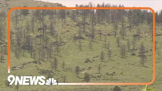 Colorado mountain burn scars still considered flash flood risks despite soil recovery