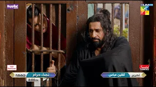 Namak Haram - Episode 22 Promo - Friday at 8:00 PM Only On HUM TV [ Imran Ashraf - Sarah Khan ]