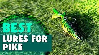 Best Lures for Pike in 2021 – According to Fishing Pros!