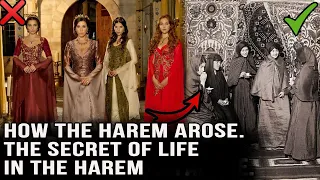 Uncovering the secrets of women's lives in Ottoman harems: a look from inside the Sultan's harem!