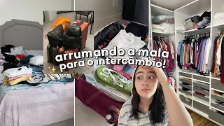 arrumando minhas malas para meu intercâmbio *de UM ANO* | vlog