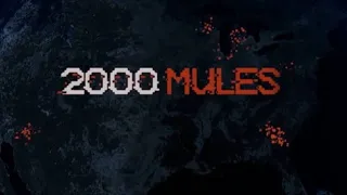 2000 Mules documentary review