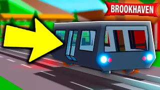 FINALMENTE NOVO TREM no BROOKHAVEN