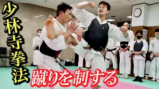 【Shorinji Kempo】Detailed explanation of how to deal with kicks! 【Special Seminar】with 27 Subtitles!