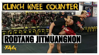 Clinch Knee Counter Options with Rodtang Jitmuangnon