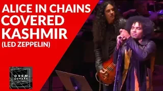 Alice in Chains - Kashmir (Led Zeppelin) Cover