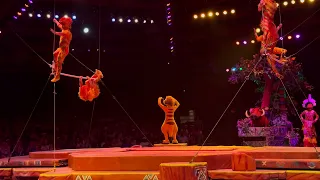 Festival of the Lion King