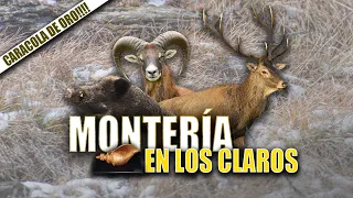 Montería en los Claros | Iberalia GO!