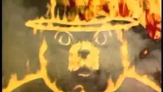 Smokey Bear - Metamorphosis (1992, USA)