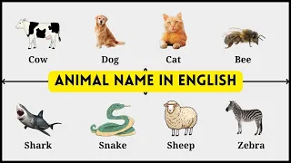 Animals for kids to learn | Animal Name in English | English Vocabulary