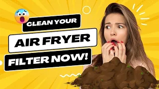 How to Clean Your Air Fryer Filter (DO IT NOW!)