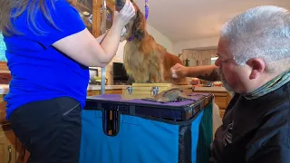 Show Grooming the Long Haired Dachshund Fronts with Eric Salas