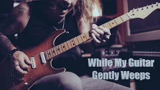 Igor Paspalj - Improvisation over "While My Guitar Gently Weeps"