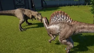 Spinosaurus(Modified) VS All Carnivores - Jurassic World Evolution